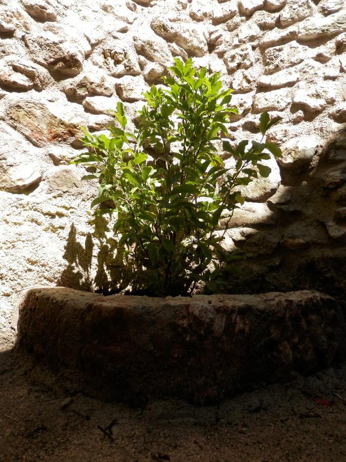 Cali B&B Alatri Bagian luar foto